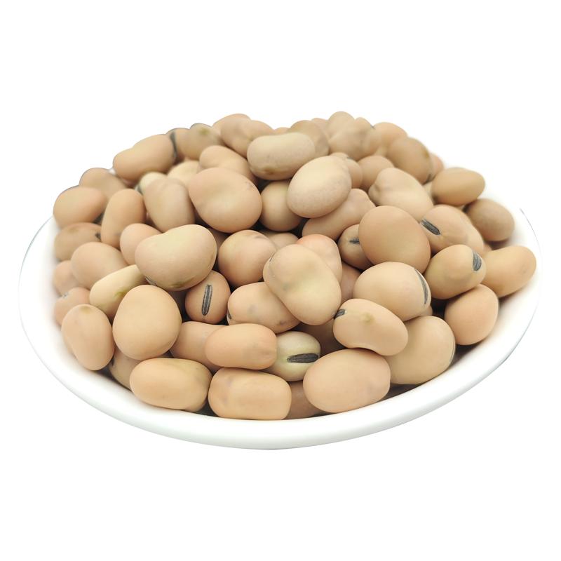 小颗粒蚕豆羊眼豆老品种农家自种