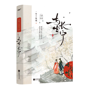与岁长宁 上册 原名嫁反派 人气作者布丁琉璃高口碑古风救赎 摄政王宁殷x京城第一美人虞灵犀 风炫青春校园言情小说书籍