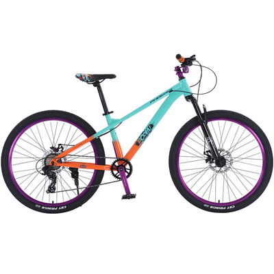 凤凰26寸双碟刹学生山地土坡车