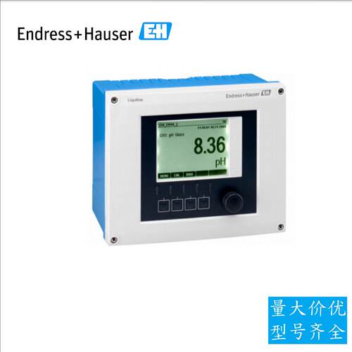 议价EH水质分析仪CM42-MEA000EAZ00变送器恩德斯豪斯多参数PH计现