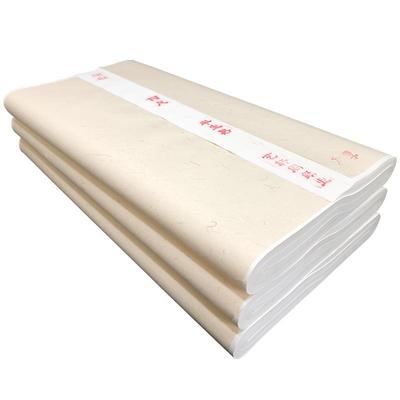 半生宣宣纸四尺作品练字三尺六尺