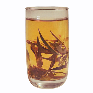 甘肃野生沙棘原叶茶500克新货精选酸刺叶达日布黑刺滋补调节包邮