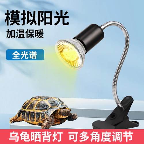 乌龟爬宠晒背灯取暖加热保温太阳灯灯泡宠物乌龟灯架芦丁鸡保温灯