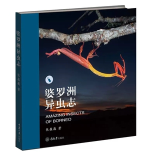 任选】婆罗洲异虫志张巍巍 著玩虫子: 从入门到疯狂,你只差这一本书100 个雨林昆虫的小故事配合独家原创生态照片婆罗洲原始雨林