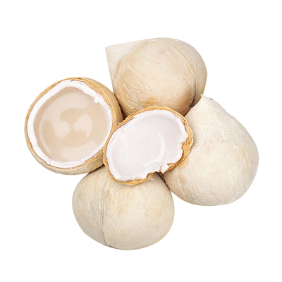 泰国进口牛奶椰皇丹嫩沙多香水椰煲鸡汤老椰子孕妇新鲜水果包邮
