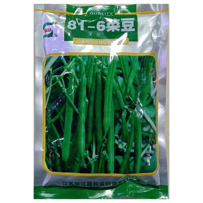 江蔬菜豆种子81-6无架250克500克