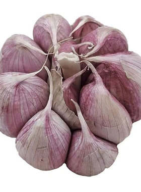 山东金乡大蒜头干蒜紫白皮当季新鲜5斤9斤可腌腊八蒜可种多瓣蒜