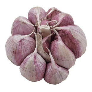山东金乡大蒜头干蒜紫白皮当季新鲜5斤9斤可腌腊八蒜可种多瓣蒜