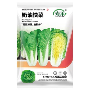 奶油快菜种子种籽四季小白菜蔬菜青菜菜籽孑子籽种莱快菜种籽菜种