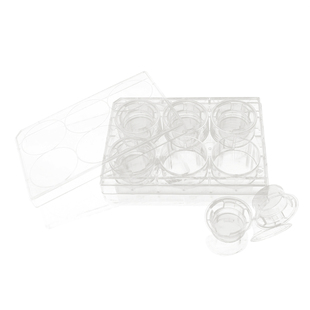 LABSELECT甄选6孔12孔24孔PET聚酯膜 PC聚碳酸酯膜细胞小室培养板