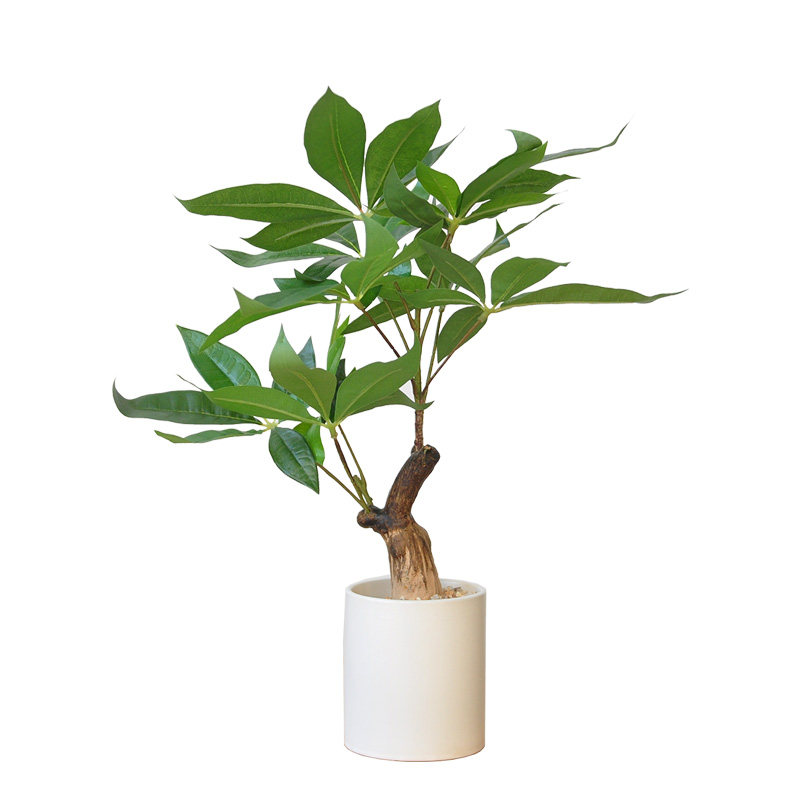 中式仿真发财树绿植书房客厅餐厅