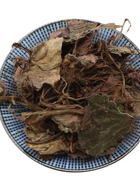 虎耳草金线吊芙蓉虎草金丝老虎草