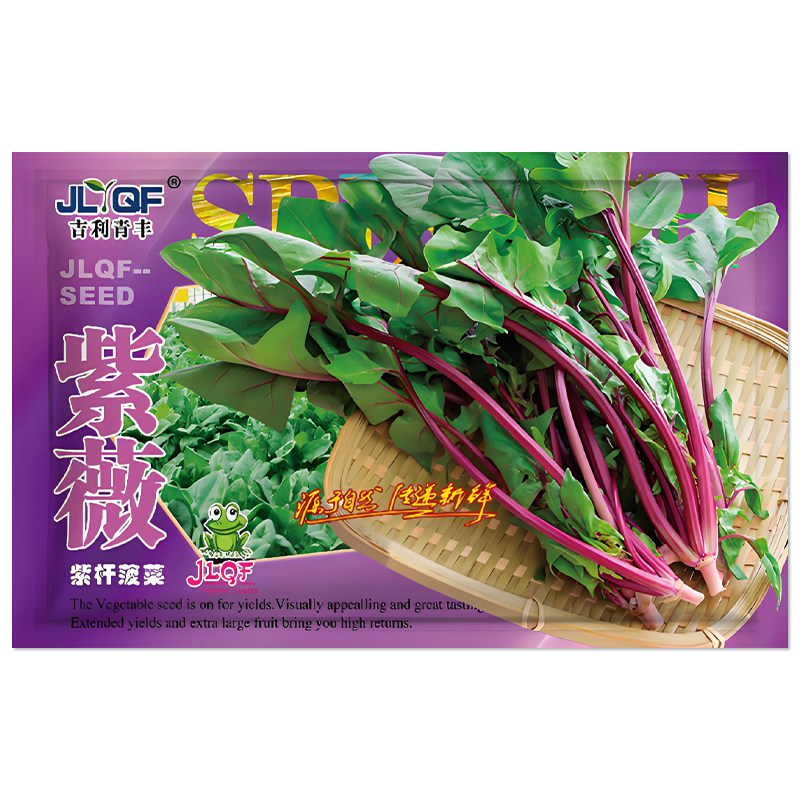 紫薇紫杆菠菜种子炫紫菠菜