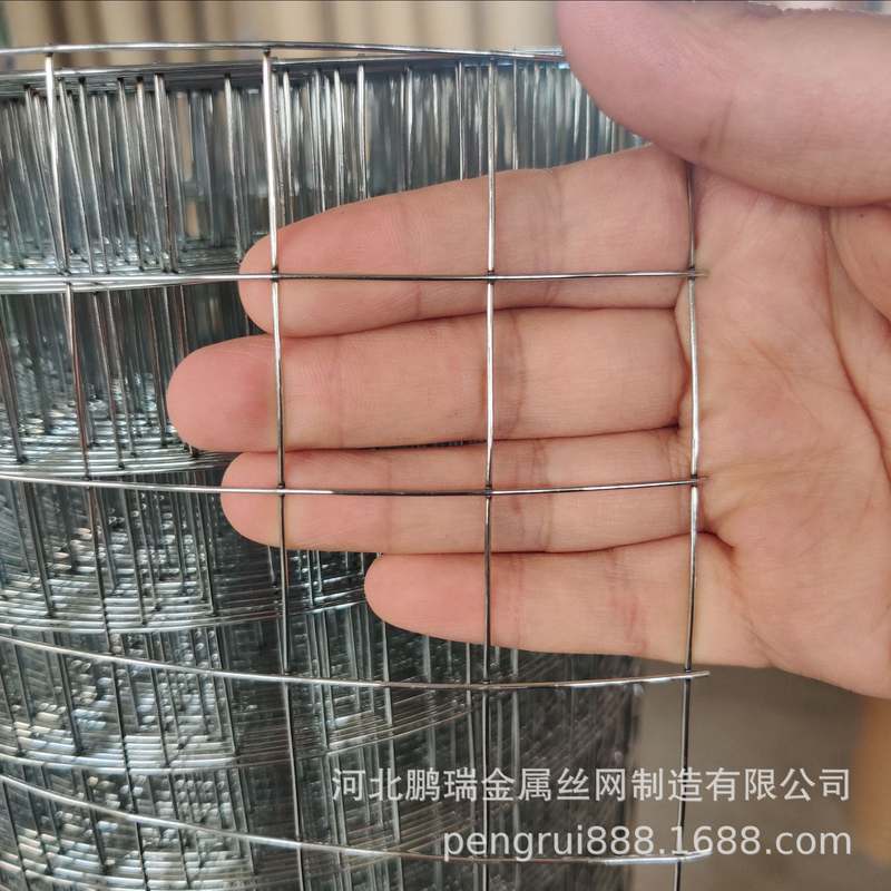 厂家电镀锌电焊网铁丝网3cm圈地养殖网养鸡网网孔