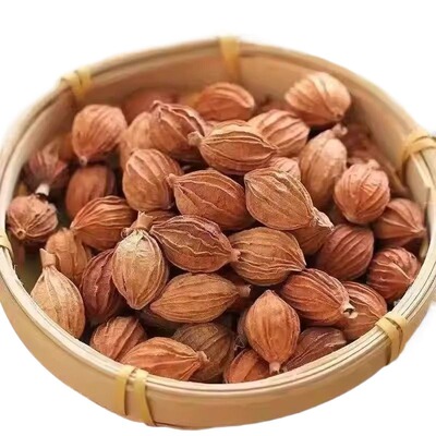 香砂仁正宗调味品|超1000次加购