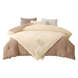 莫凡家纺A类抗菌被春秋被单人双人加厚保暖冬被大豆字母被芯12斤