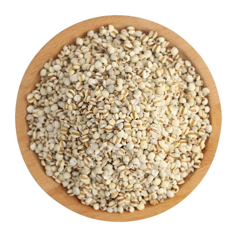 正宗小薏仁米5斤 新米新鲜薏仁米生薏米泡水杂粮小豆薏苡仁500g