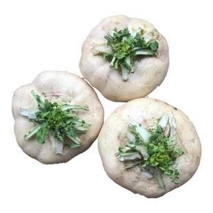 温州盘菜新鲜特产农家盘菜头 扁萝卜 大头菜 现摘现发5斤装包邮