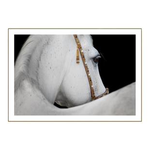 马到成功玄关柜上装饰画横版美式轻奢挂画卧室餐厅抽象艺术马墙画