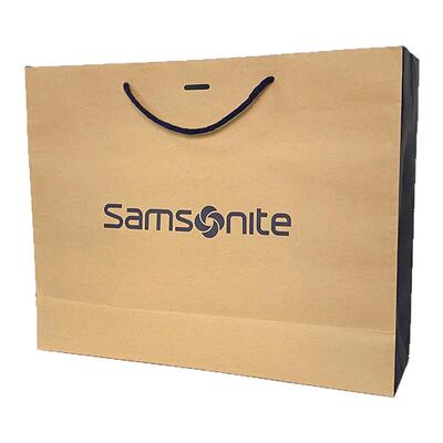 新秀丽大号送礼背包手提袋