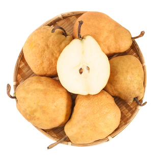 正宗山东烟台中华丑梨新鲜水果太婆梨秋月梨啤梨南果梨香梨子整箱