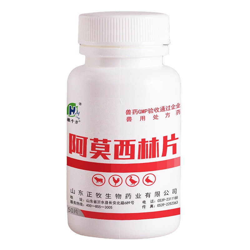 宠物阿莫西林片猫用狗用消炎药感冒药抗生素抗菌腹泻皮肤感染兽用