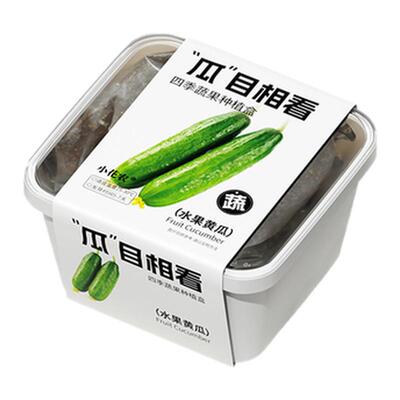 小花农正品儿童种植盆栽四季蔬菜观察盒DIY植物种子生长番茄辣椒