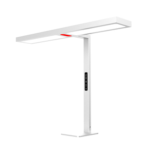 台灯学习专用护眼灯语音书桌面大路灯儿童小学生阅读工作宿舍夹式