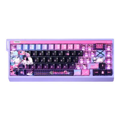 泰坦国度兔子洞键帽原厂侧透PBT洞洞兔PC黑粉小蜜蜂ev63迈从ace68