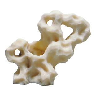 台湾吴定石景观上水石吸水石花盆金钱菖蒲盆附石假山石捕虫堇摆件