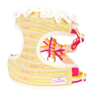 COOLPETS狗狗牵引绳防挣脱胸背小型犬幼犬比熊博美泰迪遛猫胸背带