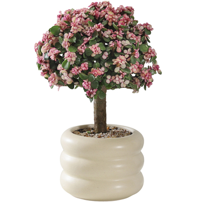 金枝玉叶客厅桌面净化空气