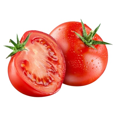 老品种大番茄种子沙瓤番茄种籽粉