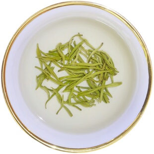 杯杯香横县茉莉花茶特级2025新茶茉莉甘露绿茶浓香耐泡罐装250g