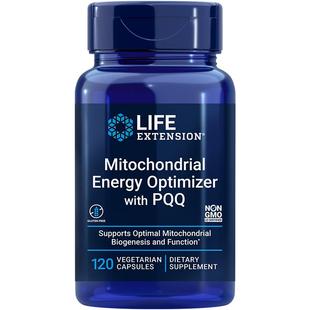 线粒体优化剂PQQ原装进口大龄备孕细胞供能卵泡发育囊胚胚卵裂异