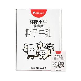 隔壁刘奶奶椰椰水牛mini椰子牛乳125ml*9盒*4箱生榨椰汁儿童牛奶