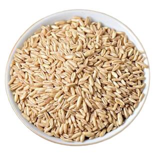 莜麦新货500g甘肃会宁做甜醅油麦高原旱地种植老品种莜麦子煮饭粥