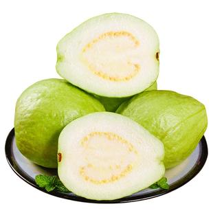 广西奶油白心芭乐软心软糯新鲜孕妇水果番石榴硬脆甜鸡屎果批发