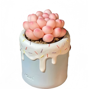 韩版汤圆手指奶酪多肉植物肉肉超萌新手桃蛋花卉糖豆迷你盆栽绿植