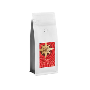 GeeCoffee寻豆师玛格丽塔石墙庄园瑰夏卡杜艾SOE意式浓缩黑咖227g