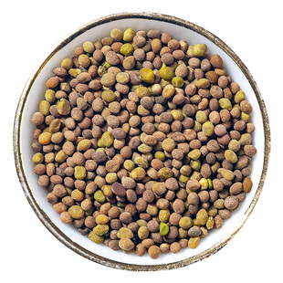 内蒙野生菟丝子中药材正品旗舰店新鲜干兔丝子药材吐丝子菟丝子茶