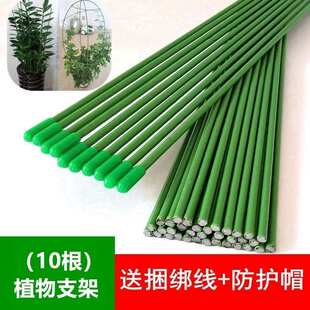 实心铁丝包塑花杆支架树绣球棍杆花盆金钱扶正盆栽凤尾竹支撑插