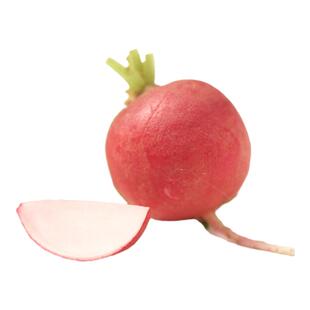 新鲜樱桃萝卜 食用水果小萝卜 西餐私房菜冷菜搭配装饰点缀摆盘