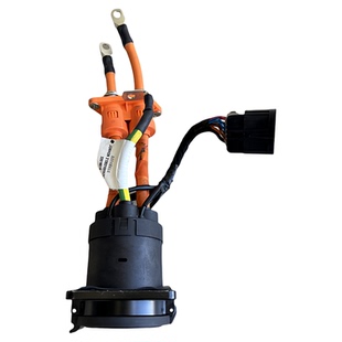 适用长城欧拉R1黑猫直流快充线束充电口九孔充电头插座原厂拆车件