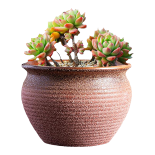 花盆陶瓷新款多肉花盆阳台盆栽法师绿植老桩盆复古粗陶透气小高盆