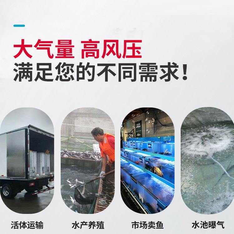 750w/380V【三相】高压漩涡气泵 水产养殖鱼塘增氧机污水曝气机