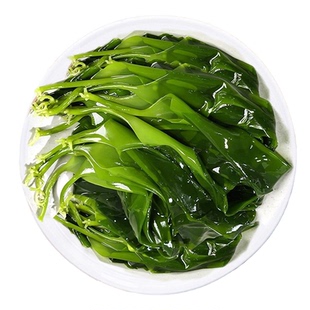 霞浦爆款海带苗盐渍海带嫩苗新鲜低卡火锅食材凉拌嫩苗特产批发
