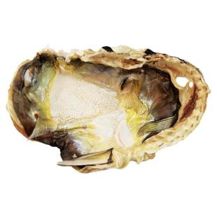 汕尾本港天然自晒无毒河豚干鱼干淡晒乖鱼干食用品质500g精品包邮