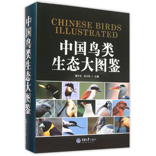 正版现货】中国鸟类生态大图鉴 自然生态图鉴 中国鸟类图鉴知识档案 动物百科 鸟类物种 以鸟类生态图形式将鸟类真实直观地展现
