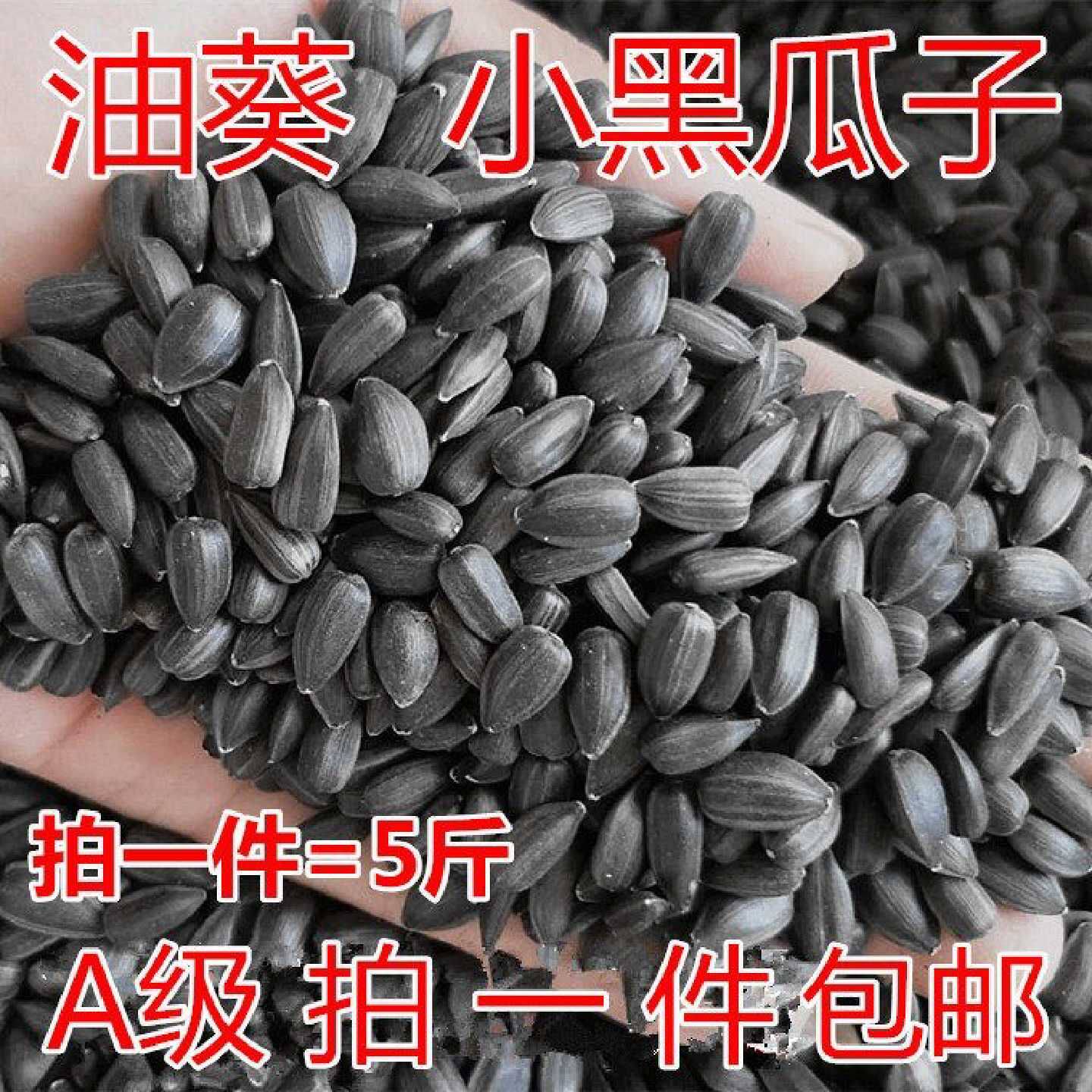 新优质黑珍珠小瓜子葵仁油葵籽鹦鹉鸟食仓鼠零食鸟粮包邮